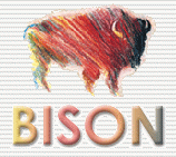 BISON logo